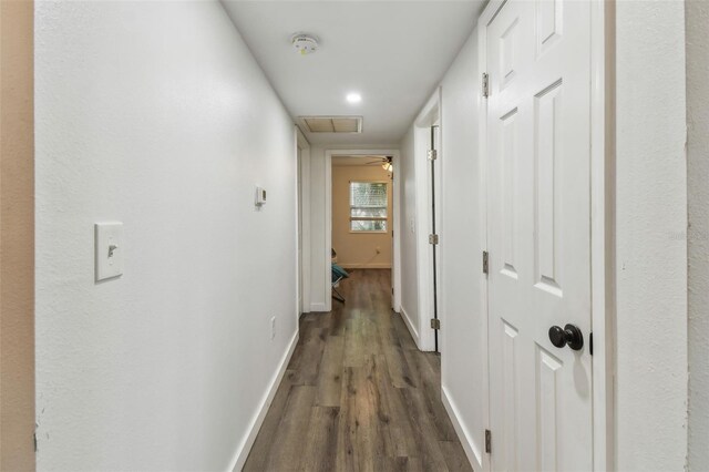1316 Melrose Ave S, Saint Petersburg, FL 33705 - photo 22