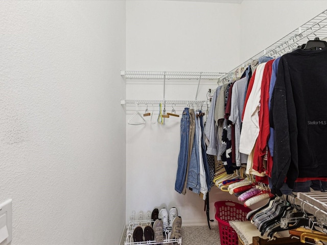 spacious closet with carpet flooring