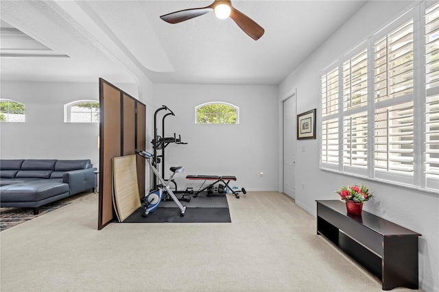 exercise area with a textured ceiling, a ceiling fan, and carpet