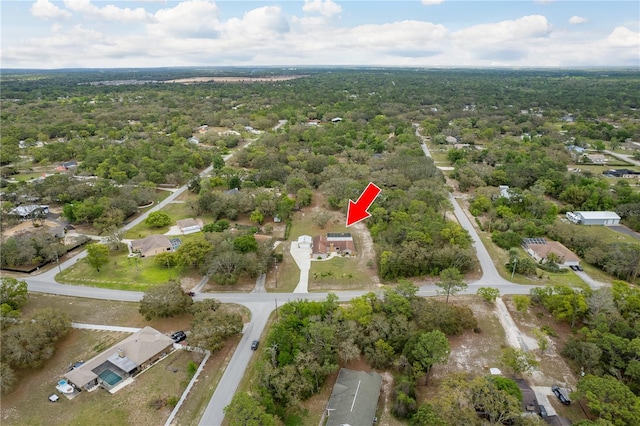 18216 Monteverde Dr, Spring Hill, FL 34610 - birds eye view of property featuring a view of trees
