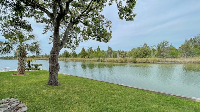 3415 Holly Springs Dr, Hernando Beach, FL 34607 - photo 29
