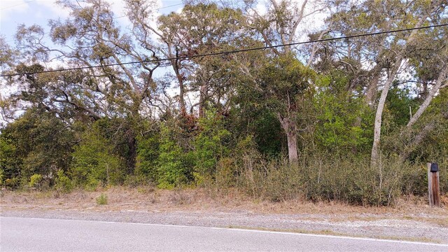 2146 Richloam Ln, Spring Hill, FL 34610