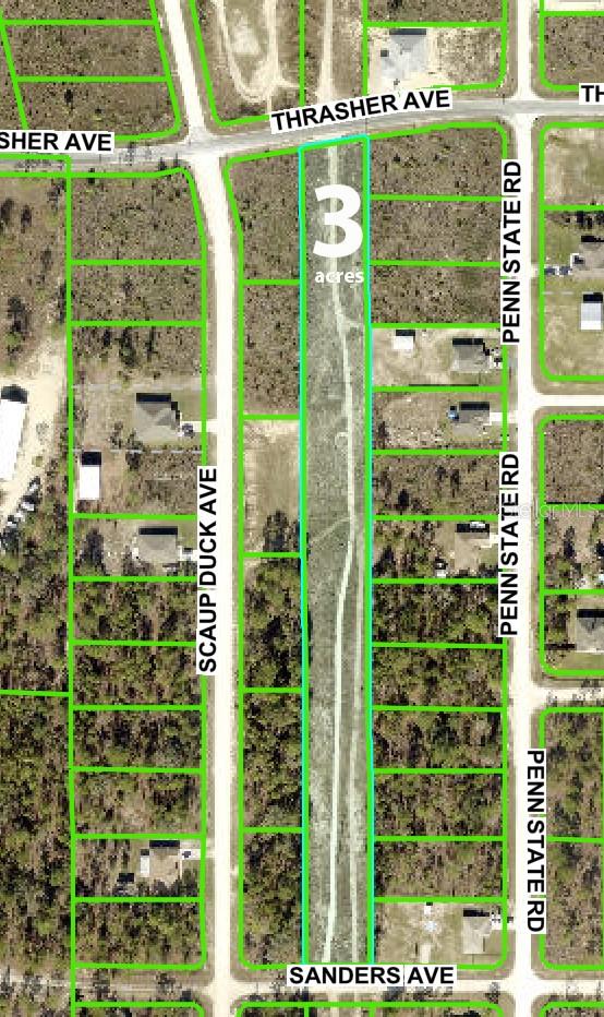 Thrasher Ave, Brooksville, FL 34614 - photo 1