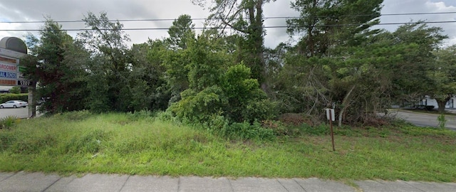 13182 Spring Hill Dr, Spring Hill, FL 34609