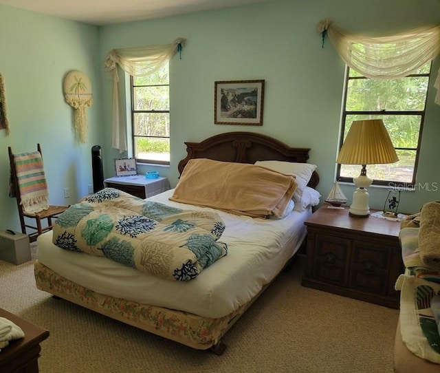 bedroom with carpet