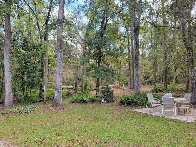view of yard with a patio area