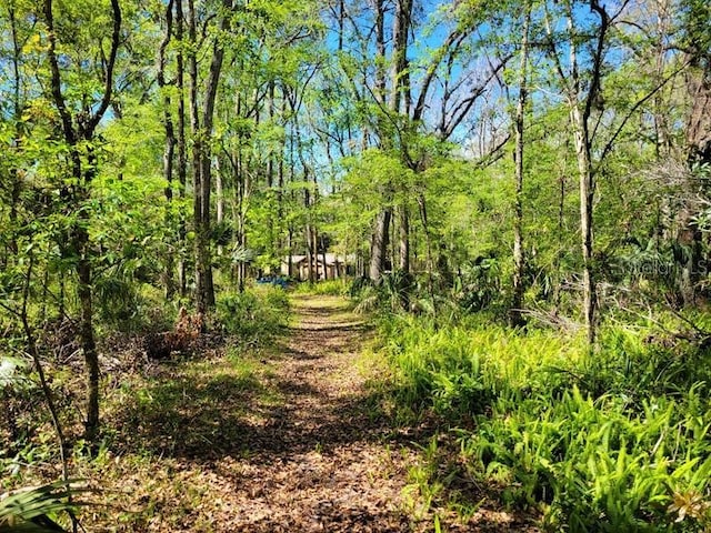 view of nature