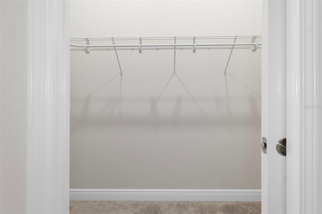 877 N Hunt Club Dr, Hernando, FL 34442 - walk in closet with carpet flooring