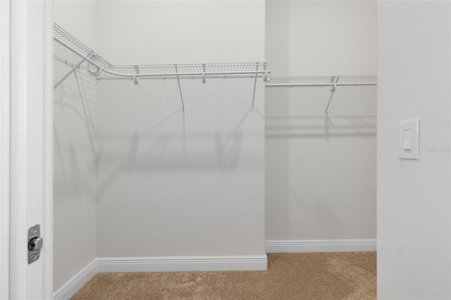 877 N Hunt Club Dr, Hernando, FL 34442 - walk in closet featuring carpet flooring
