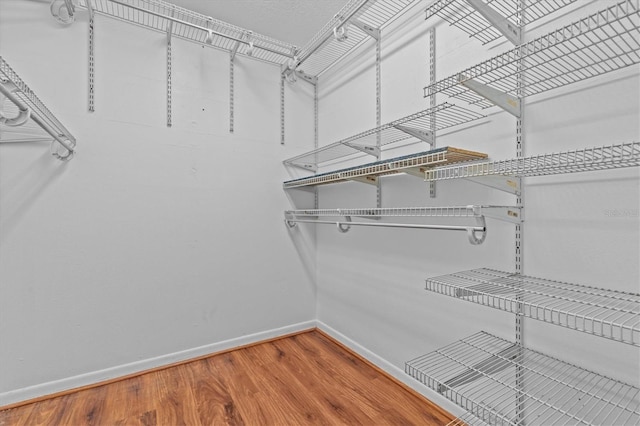 155 Patty Ann Blvd, Palm Harbor, FL 34683 - walk in closet featuring wood finished floors