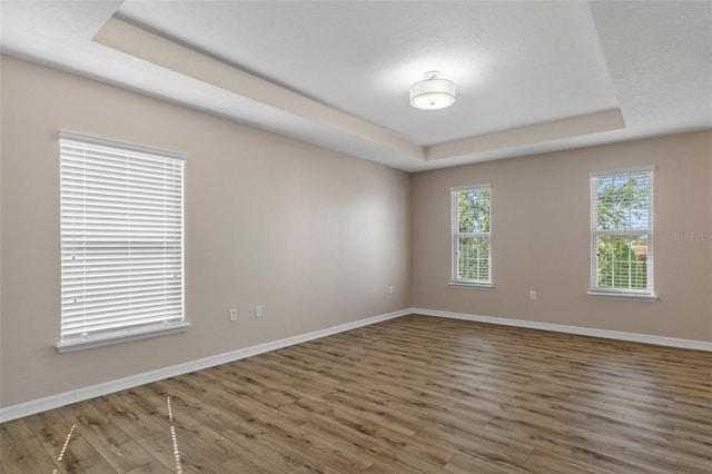 13619 Hunters Point St, Spring Hill, FL 34609 - empty room featuring a tray ceiling, baseboards, wood finished floors, and a healthy amount of sunlight