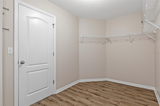13619 Hunters Point St, Spring Hill, FL 34609 - walk in closet featuring light wood-style flooring