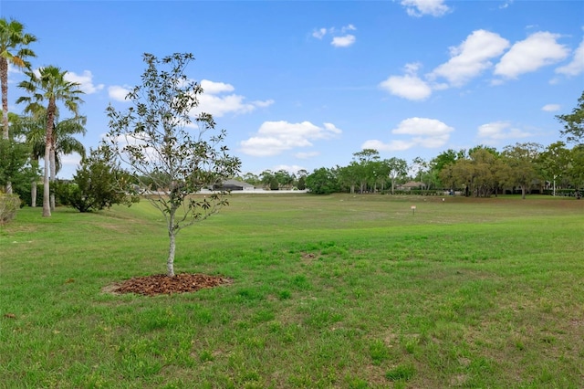 13619 Hunters Point St, Spring Hill, FL 34609 - view of yard