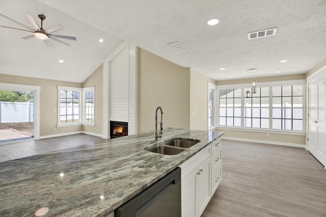 10423 Ashley Oaks Dr, Riverview, FL 33578 - kitchen with a sink, open floor plan, visible vents, dishwasher, and a fireplace