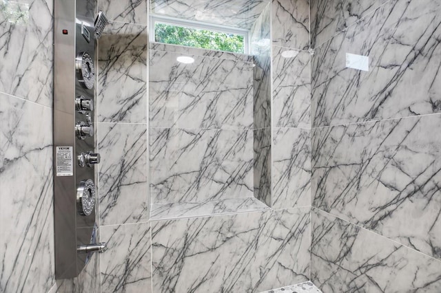 10423 Ashley Oaks Dr, Riverview, FL 33578 - full bath with a marble finish shower
