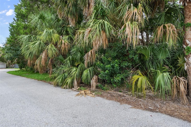 0 River Point Dr, Weeki Wachee, FL 34607 - photo 29