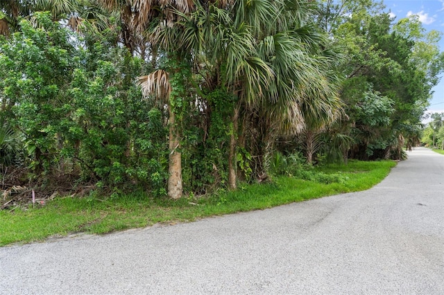 0 River Point Dr, Weeki Wachee, FL 34607 - photo 30