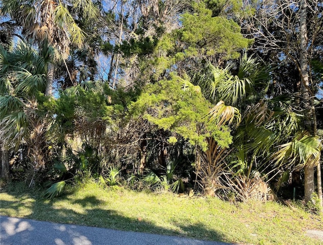 0 River Point Dr, Weeki Wachee, FL 34607 - photo 10