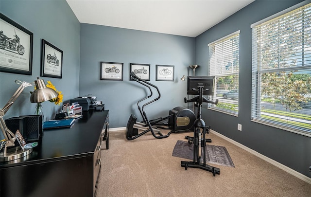 exercise area with baseboards, carpet, and a wealth of natural light