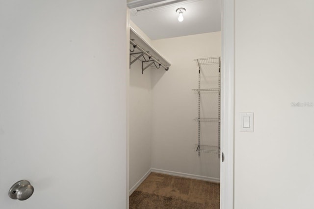 spacious closet with carpet