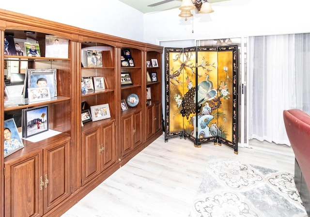 room details featuring a ceiling fan and wood finished floors