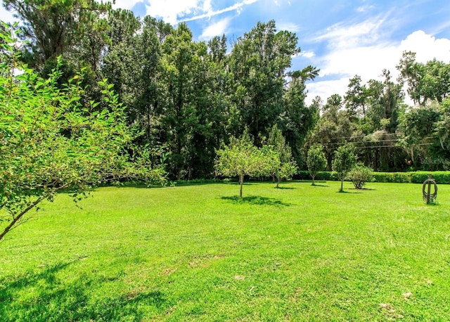 view of yard