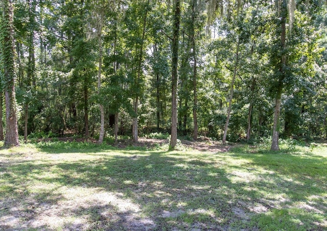 view of yard with a view of trees