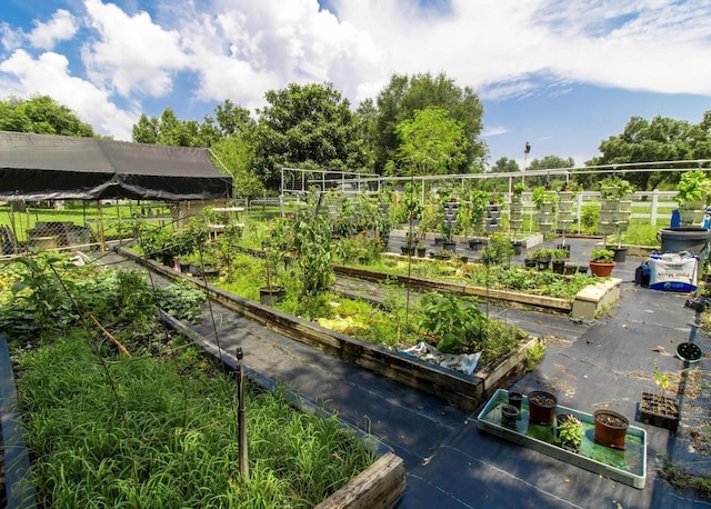 exterior space with a vegetable garden