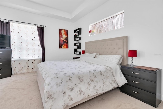 6109 Japonica Ct, New Port Richey, FL 34655 - bedroom featuring light colored carpet and multiple windows