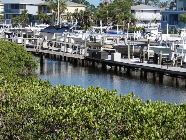 dock area featuring a water view