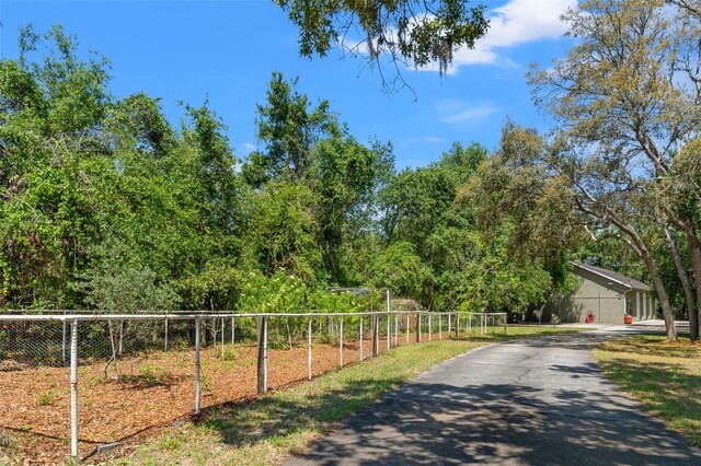 10645 Fawn Dr, New Port Richey, FL 34654 - photo 66