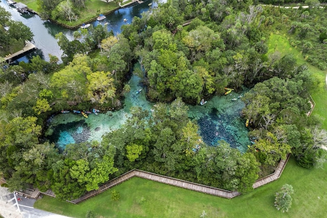11274 W Cove Harbor Dr Unit 11274, Crystal River, FL 34428 - aerial view of a nearby body of water