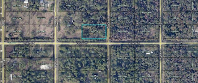 10575 Weatherby Ave, Hastings, FL 32145 - photo 1