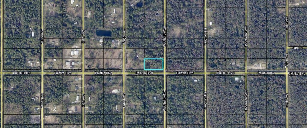 10575 Weatherby Ave, Hastings, FL 32145 - photo 2