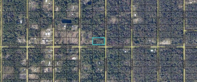 10575 Weatherby Ave, Hastings, FL 32145 - photo 2