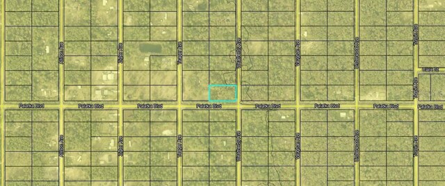 10575 Weatherby Ave, Hastings, FL 32145 - photo 3