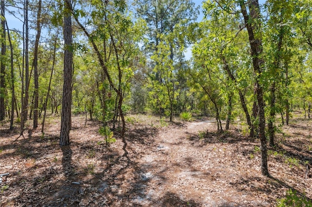 11730 Hawks Nest Trl, Brooksville, FL 34614 - photo 30