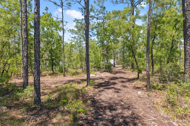 11730 Hawks Nest Trl, Brooksville, FL 34614 - photo 31