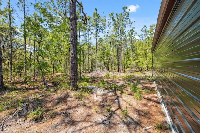 11730 Hawks Nest Trl, Brooksville, FL 34614 - photo 34