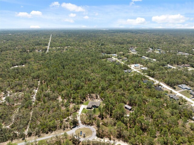 11730 Hawks Nest Trl, Brooksville, FL 34614 - photo 38