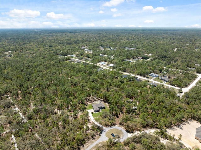 11730 Hawks Nest Trl, Brooksville, FL 34614 - photo 39