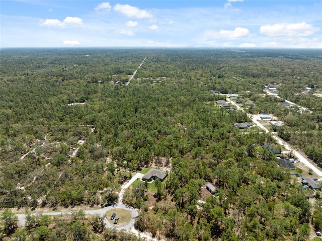 11730 Hawks Nest Trl, Brooksville, FL 34614 - photo 40