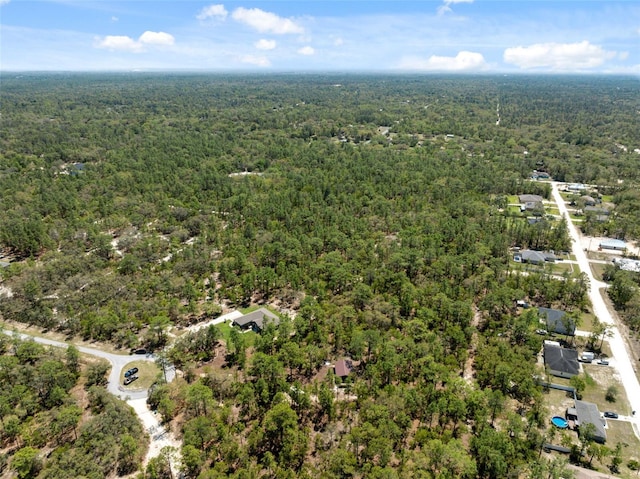 11730 Hawks Nest Trl, Brooksville, FL 34614 - photo 41