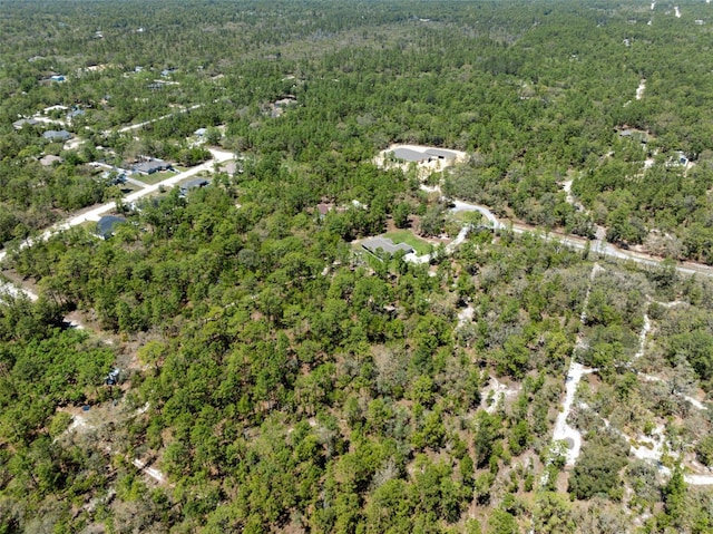 11730 Hawks Nest Trl, Brooksville, FL 34614 - photo 42