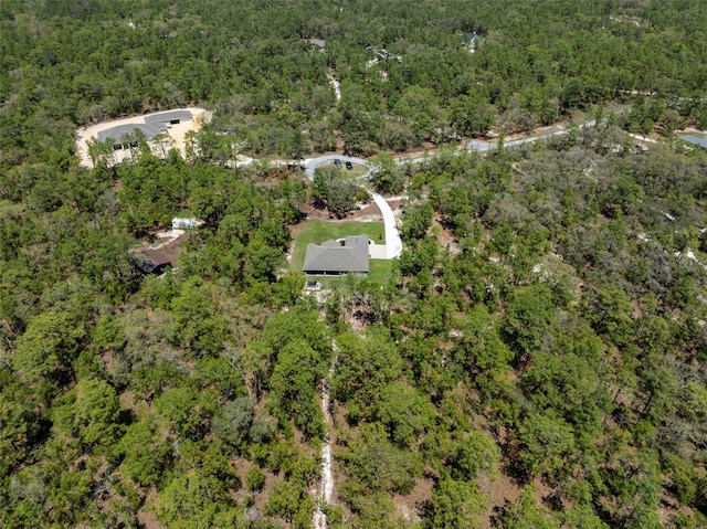 11730 Hawks Nest Trl, Brooksville, FL 34614 - photo 43