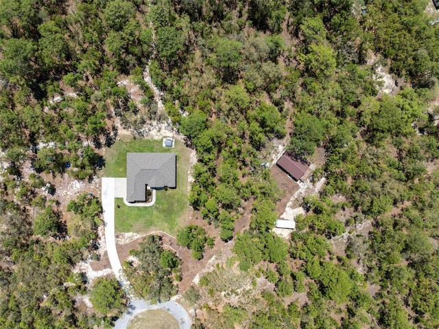 11730 Hawks Nest Trl, Brooksville, FL 34614 - photo 44