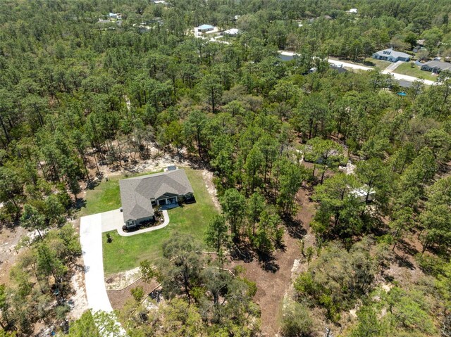 11730 Hawks Nest Trl, Brooksville, FL 34614 - photo 47