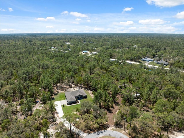 11730 Hawks Nest Trl, Brooksville, FL 34614 - photo 49