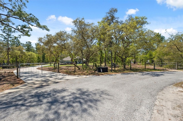 11730 Hawks Nest Trl, Brooksville, FL 34614 - photo 51