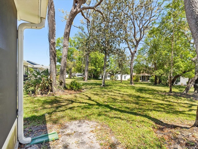 11536 Golden Rain Dr, New Port Richey, FL 34654 - view of green lawn